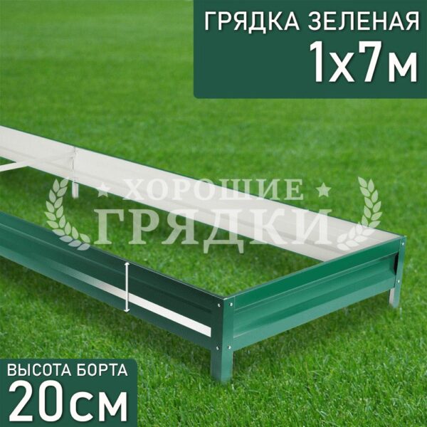 Грядка зеленая (20 см) - 1 x 7 м