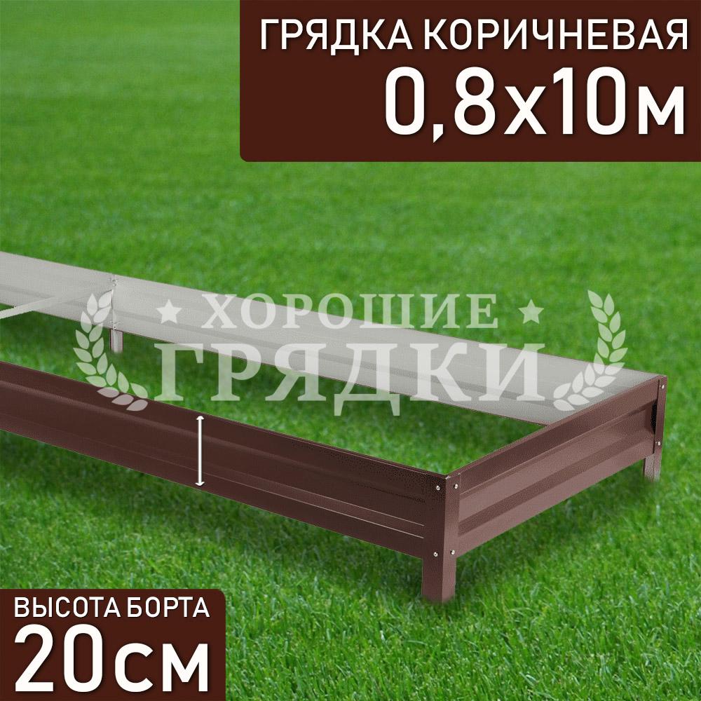 Коричневая-20-08-10